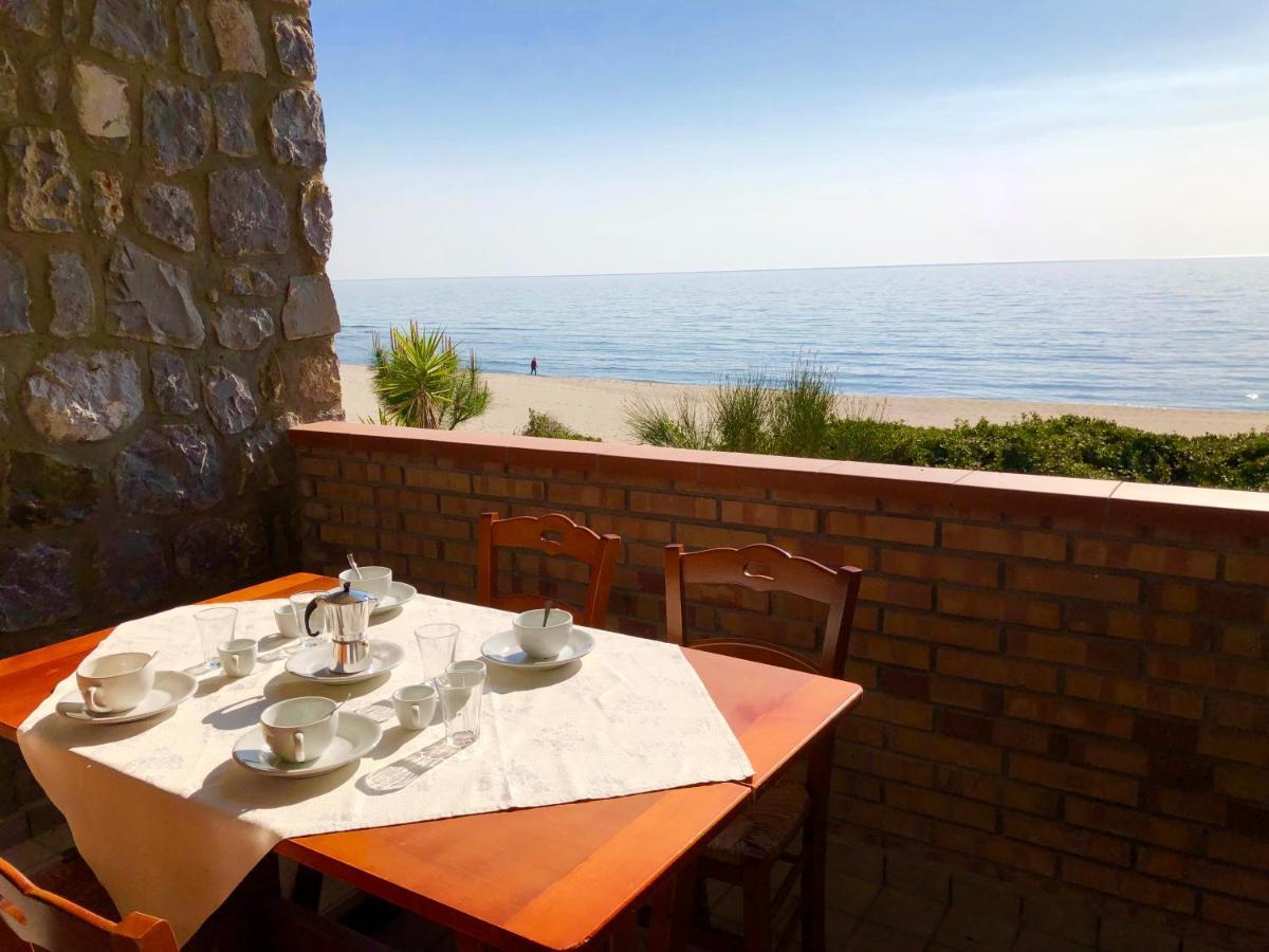 Residence Le Palme - Appartamenti Sul Mare - Spiaggia Tra Palinuro E Caprioli Pisciotta Exteriér fotografie