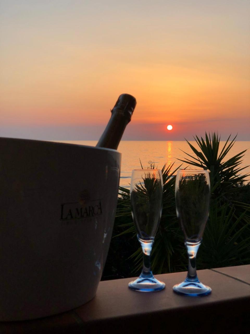 Residence Le Palme - Appartamenti Sul Mare - Spiaggia Tra Palinuro E Caprioli Pisciotta Exteriér fotografie